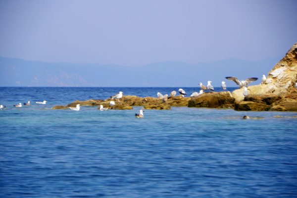 Poveste cu imagini de la Marea Egee